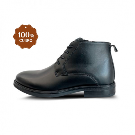 BOTA FORUM BELAIR-244NE